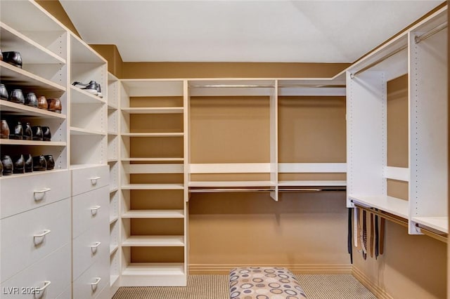 view of walk in closet