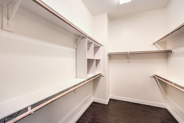 spacious closet with dark wood-type flooring