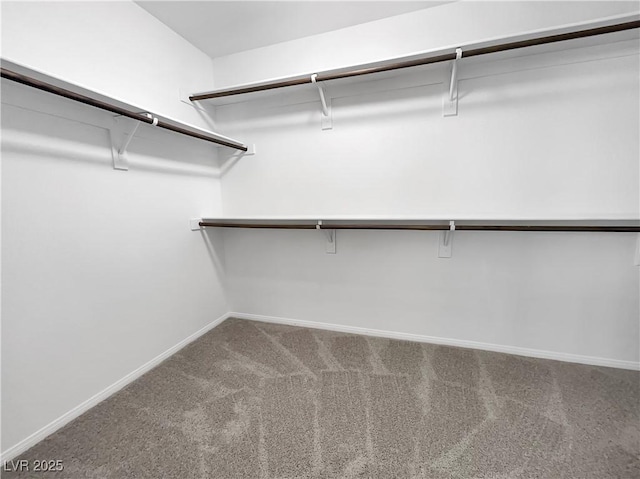 walk in closet with carpet