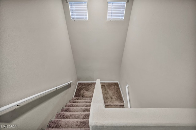 staircase featuring carpet flooring