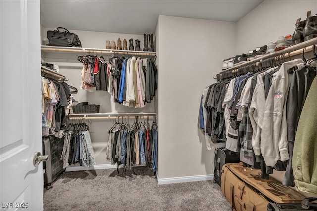 spacious closet featuring carpet