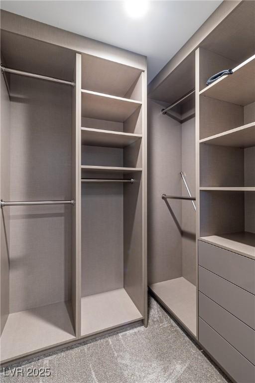 spacious closet with carpet flooring