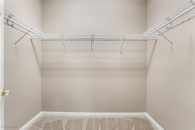 4963 Pensier St, Las Vegas, NV 89135 - walk in closet featuring carpet floors