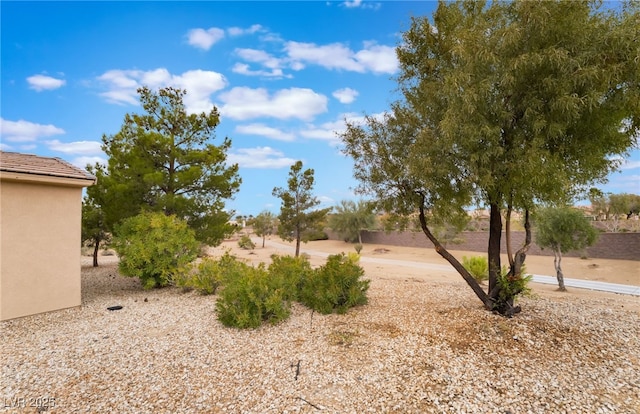 4963 Pensier St, Las Vegas, NV 89135 - view of yard