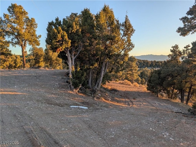 view of road featuring a view of trees