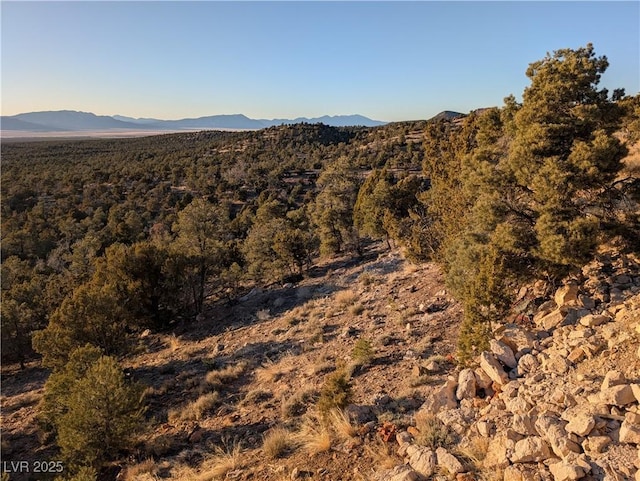 view of mountain feature with a forest view