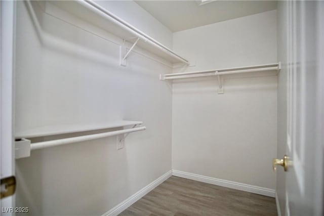 walk in closet with wood finished floors