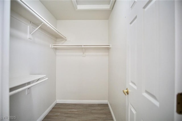 walk in closet with wood finished floors