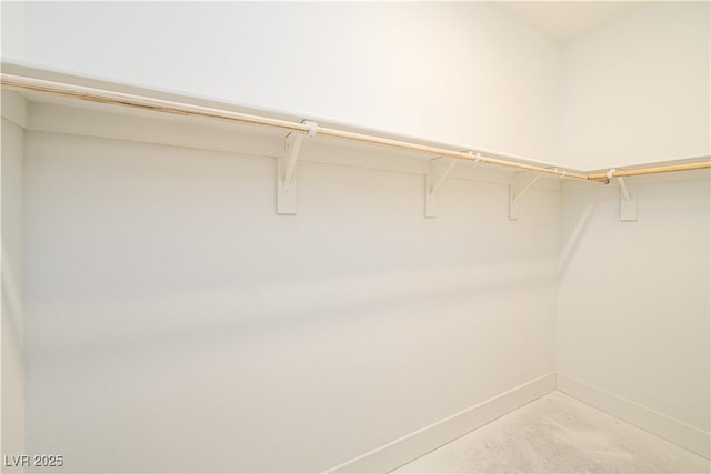 view of spacious closet