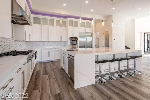 kitchen featuring ventilation hood, dark wood-style flooring, a sink, a large island, and appliances with stainless steel finishes