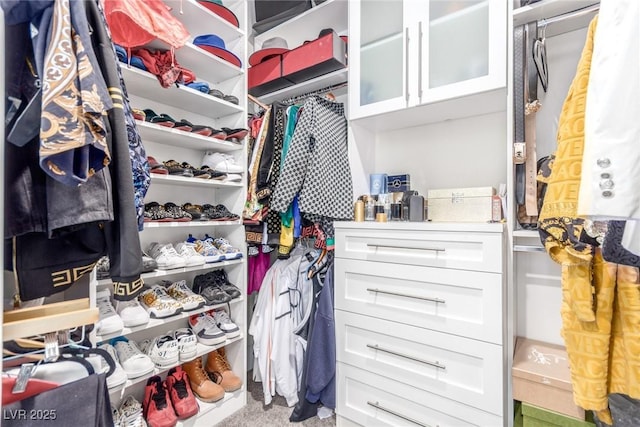 view of spacious closet