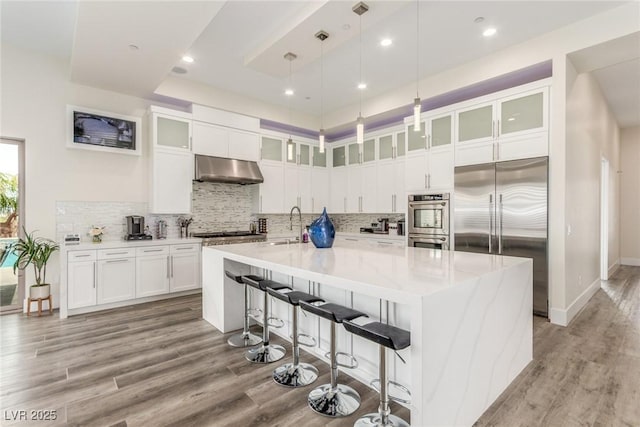 kitchen featuring appliances with stainless steel finishes, under cabinet range hood, light wood finished floors, and decorative backsplash
