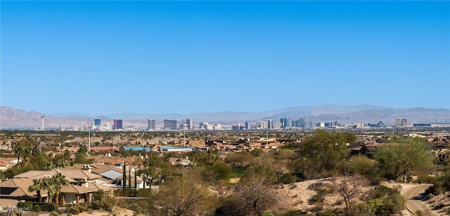 property's view of city featuring a mountain view