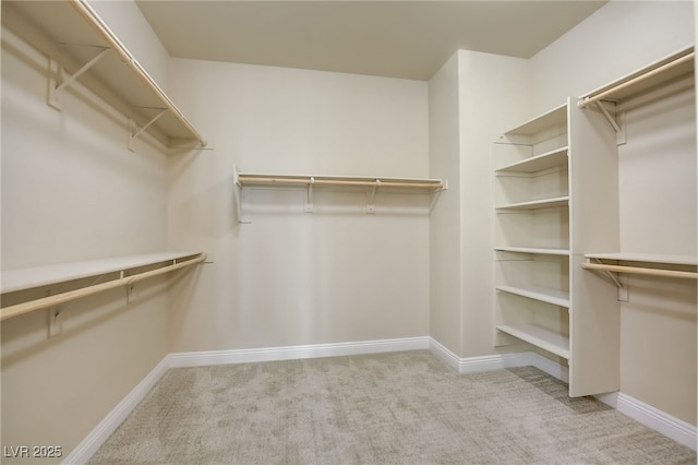 spacious closet featuring carpet floors