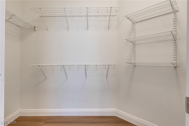 spacious closet featuring wood finished floors