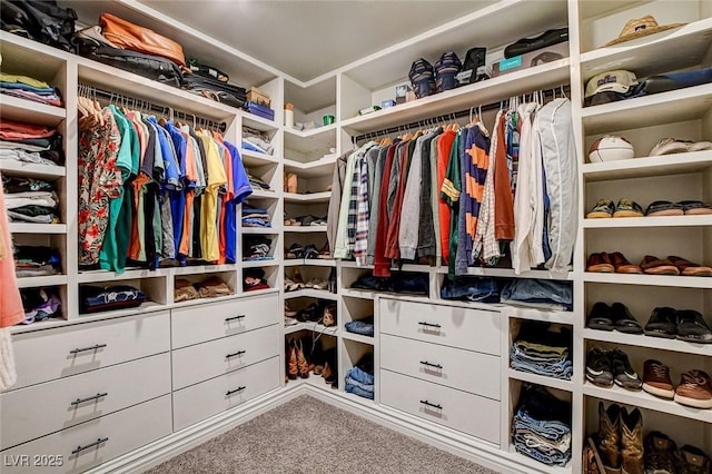 spacious closet with carpet flooring