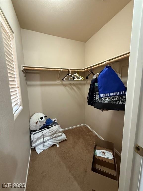 spacious closet featuring carpet flooring