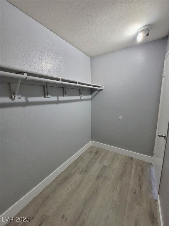 walk in closet with light wood-style floors