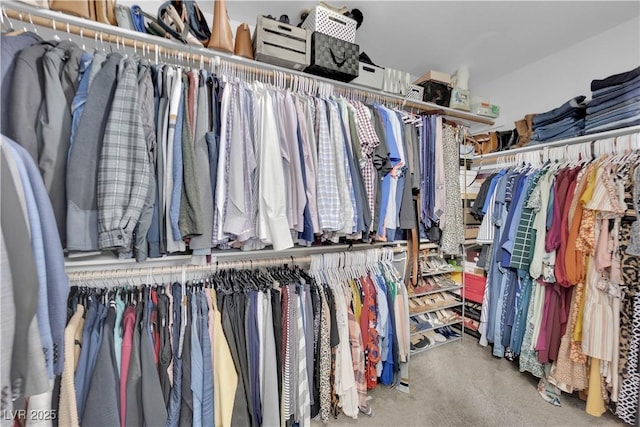 walk in closet featuring carpet flooring