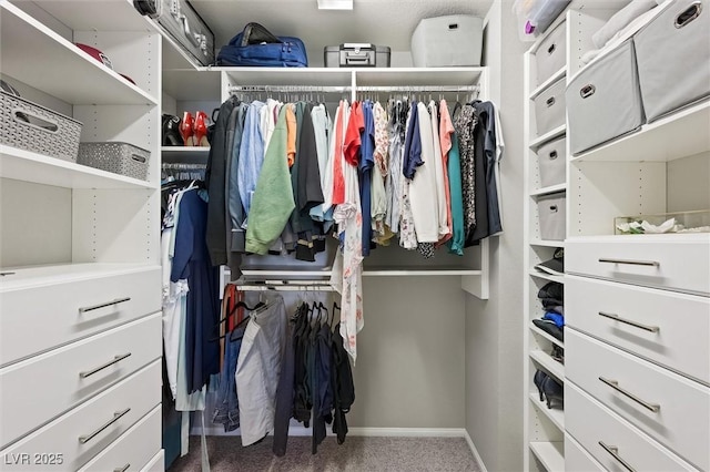 walk in closet featuring carpet flooring