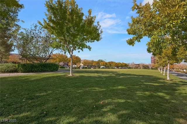 view of community featuring a yard