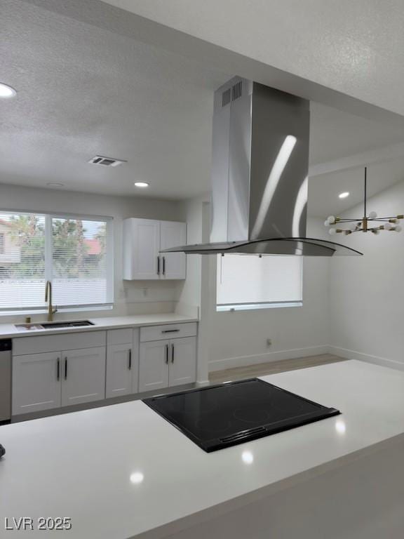 kitchen with a sink, a textured ceiling, island range hood, light countertops, and cooktop