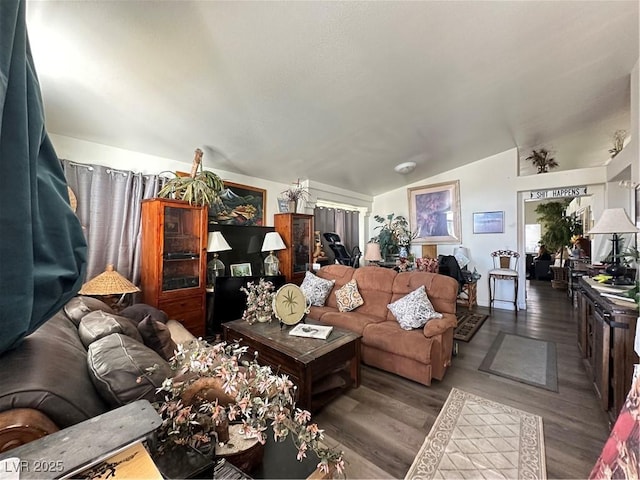 living area featuring lofted ceiling and wood finished floors