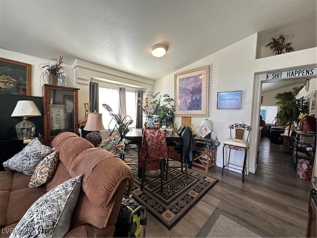 living room with lofted ceiling, wood finished floors, and a textured ceiling