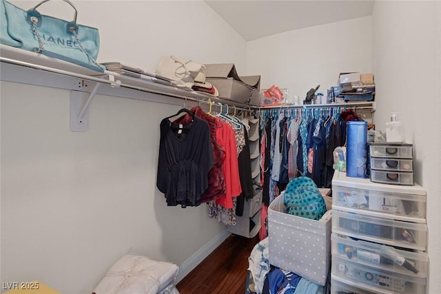 spacious closet with wood finished floors