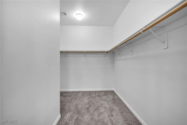 spacious closet with visible vents and carpet flooring