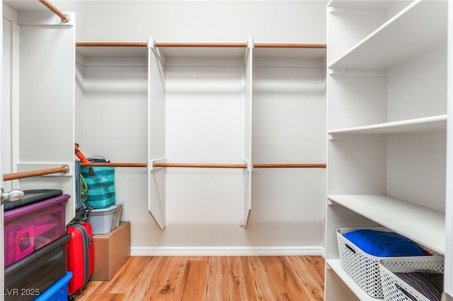 spacious closet featuring wood finished floors