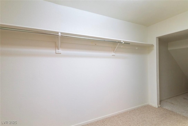 walk in closet with carpet flooring