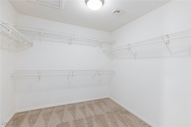 walk in closet with visible vents and carpet flooring