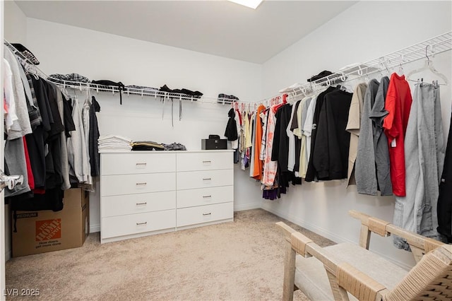 walk in closet with light carpet