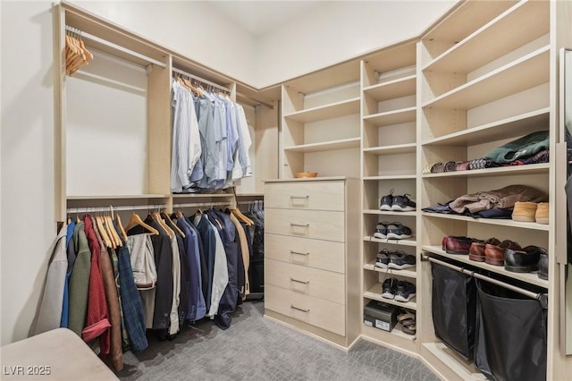 walk in closet with carpet