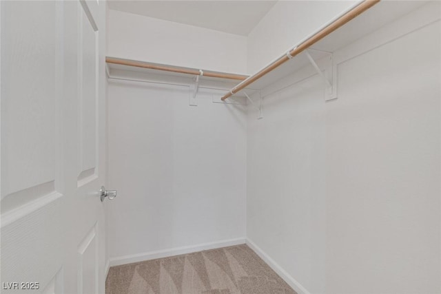 spacious closet featuring light carpet