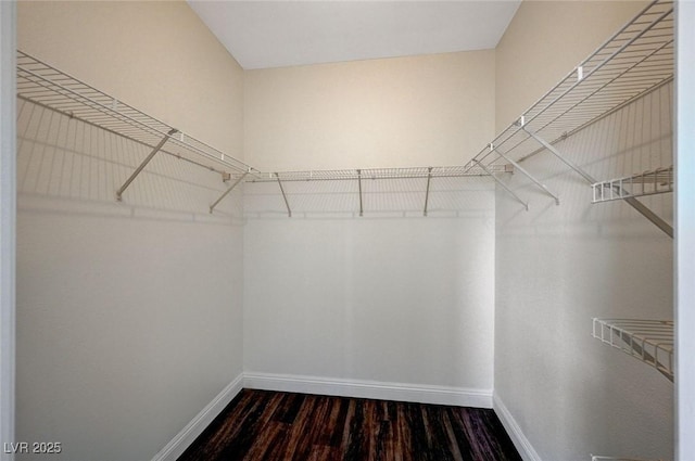 spacious closet featuring dark wood-style flooring