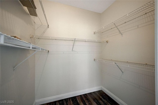 walk in closet featuring dark wood finished floors