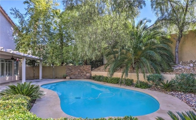 view of pool with a fenced in pool, a fenced backyard, and a patio area