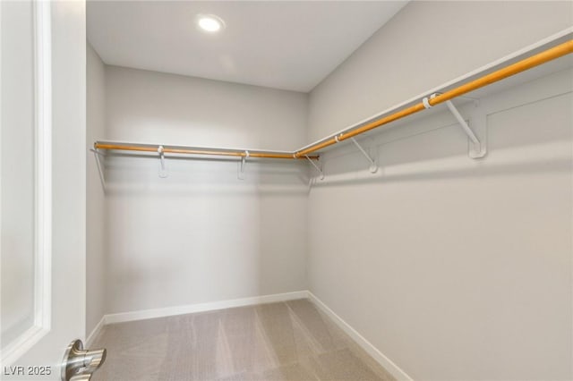 walk in closet featuring carpet floors