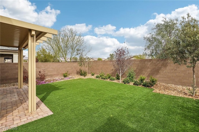 view of yard with a patio area and a fenced backyard