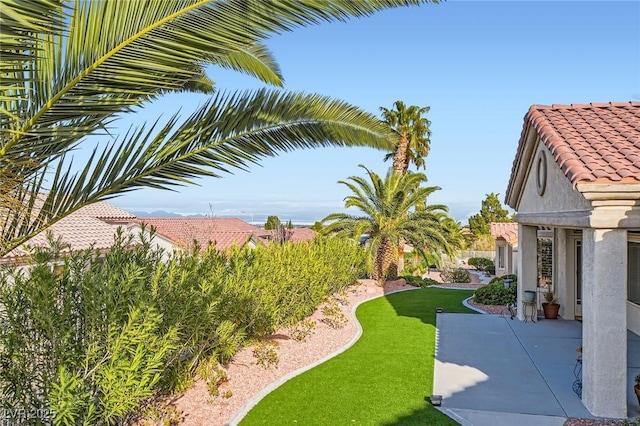 view of yard featuring a patio area