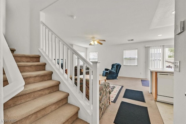 staircase featuring visible vents, carpet floors, and ceiling fan