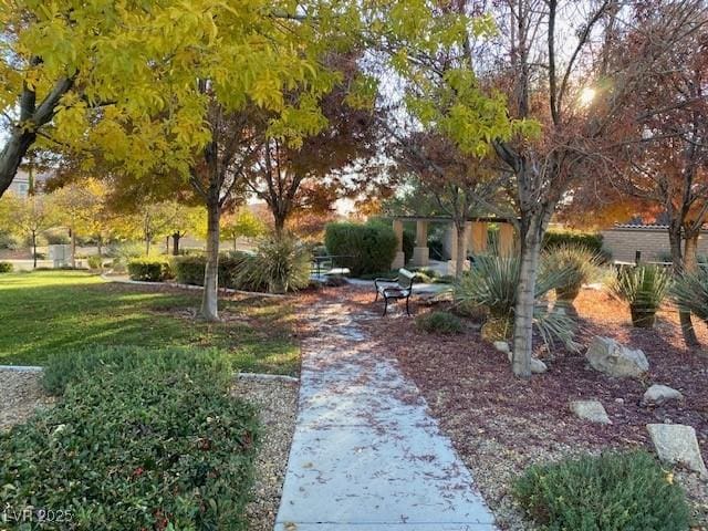 view of home's community featuring a yard