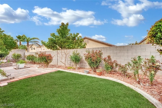 view of yard featuring a patio area and a fenced backyard