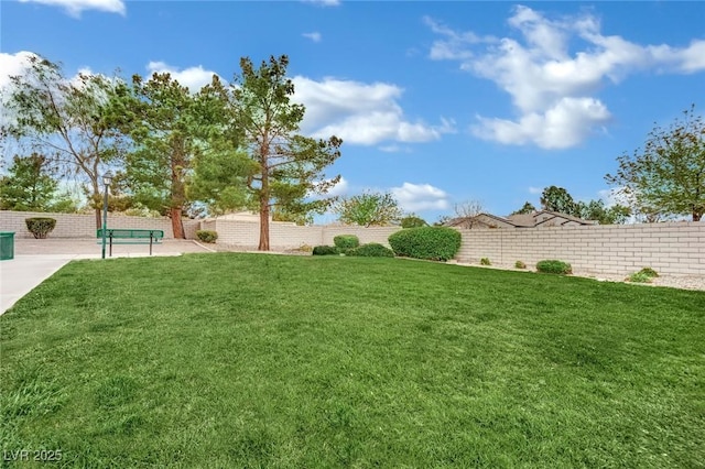 view of yard featuring a patio and a fenced backyard