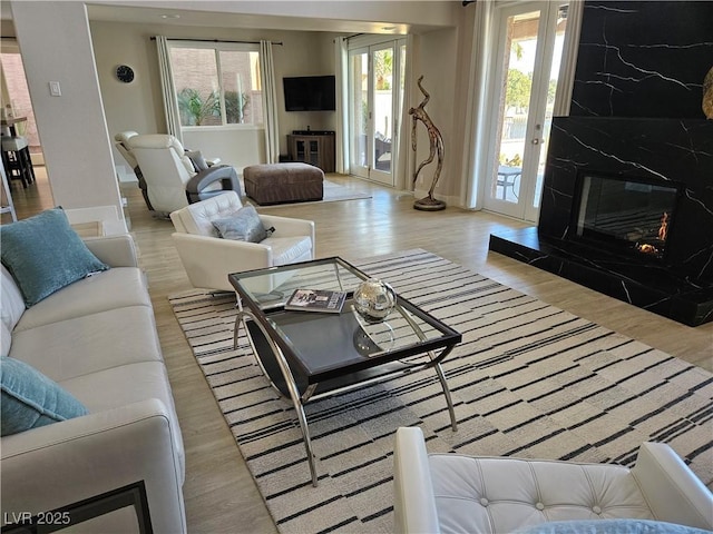 living area with a fireplace and wood finished floors