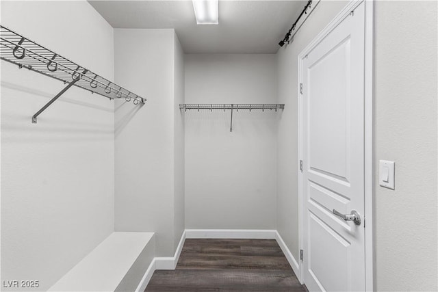 walk in closet with dark wood finished floors