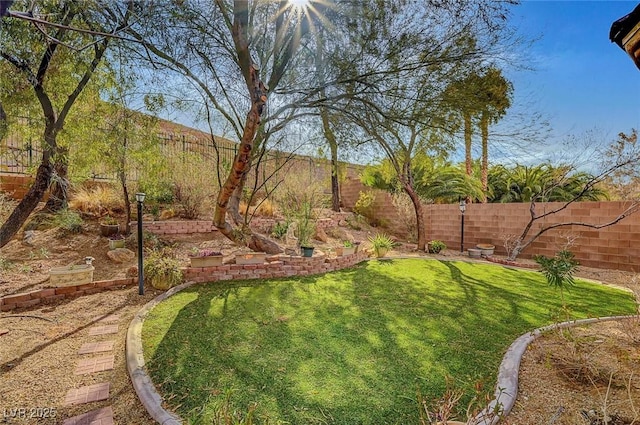 view of yard with a fenced backyard