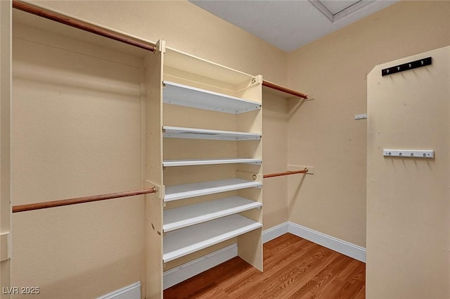 spacious closet featuring wood finished floors